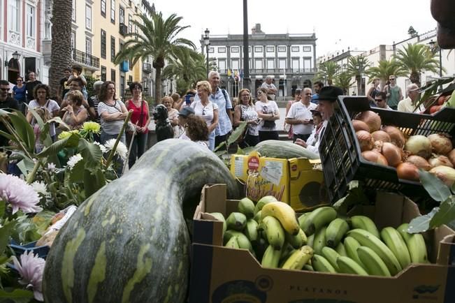 ROMERÍA DEL ROSARIO