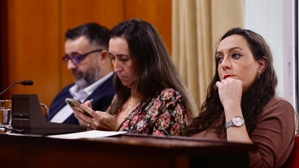 Los concejales de Vox en el salón de plenos.