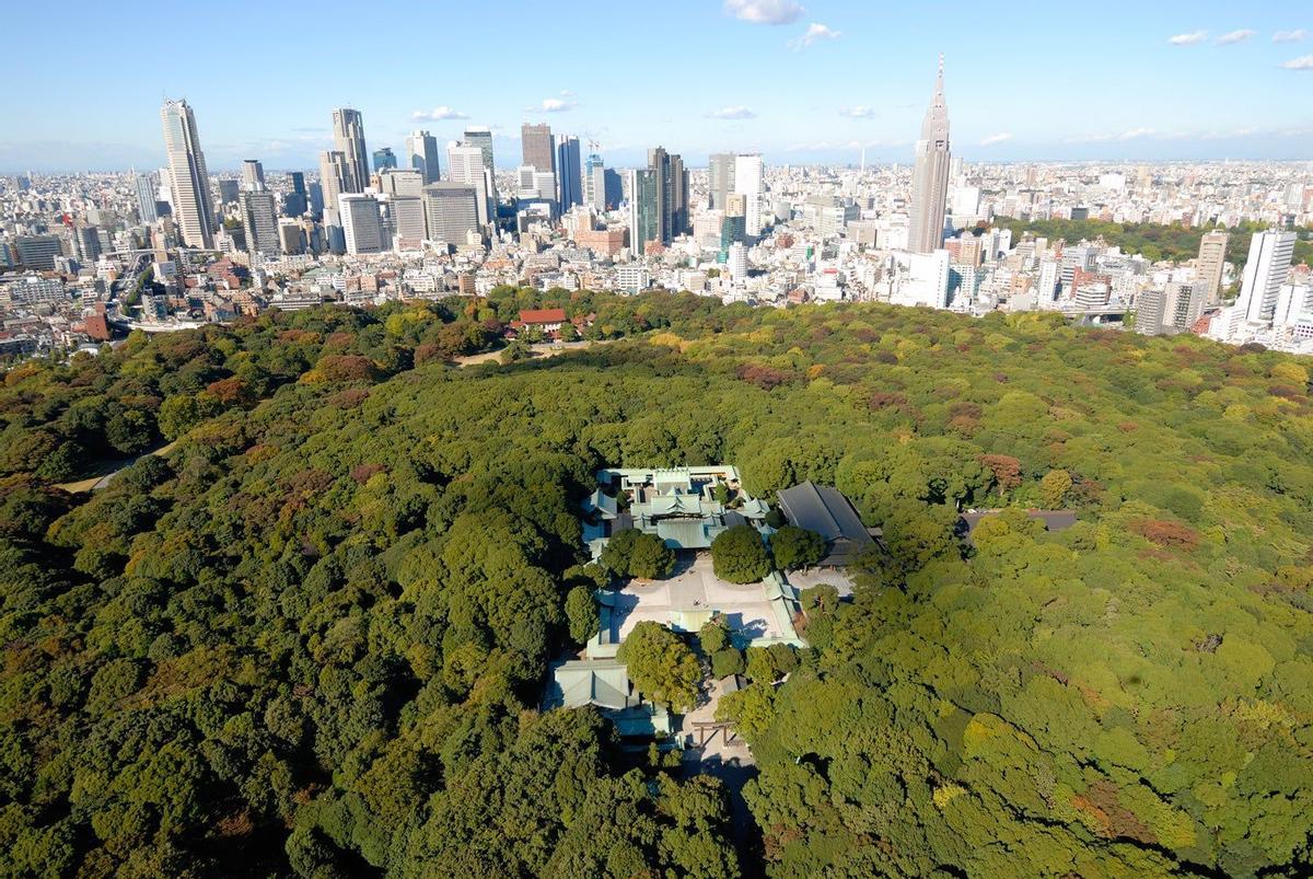 Santuario Meiji visto desde el aire