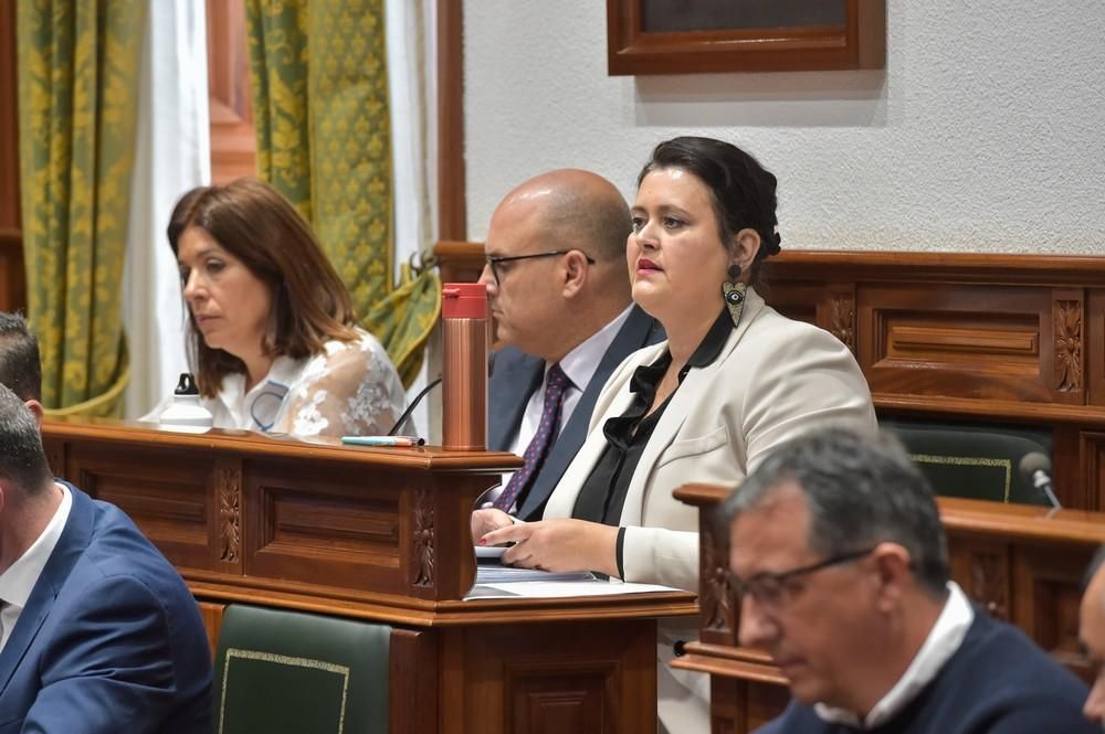 Pleno del Ayuntamiento de Telde