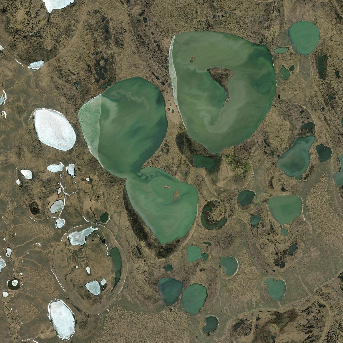 "Llirgytkin".