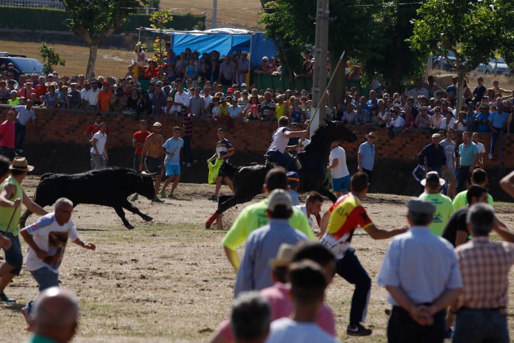 Espante de Fuentesaúco 9-7-2017