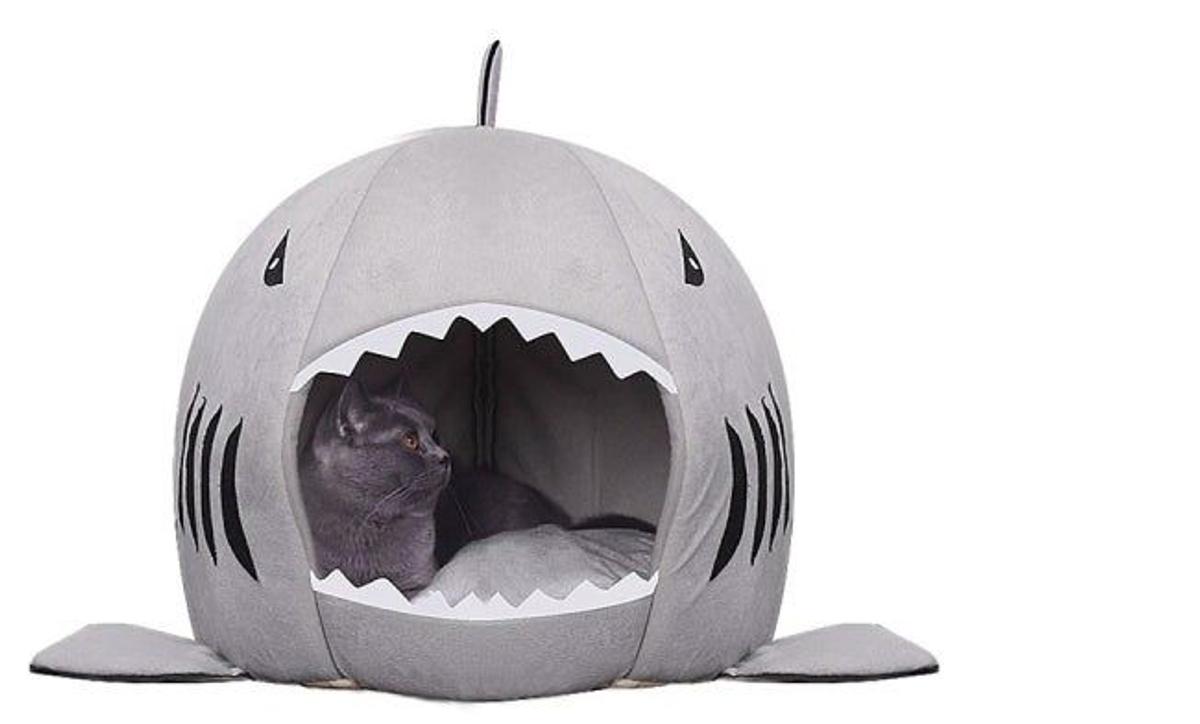 Cama tiburón