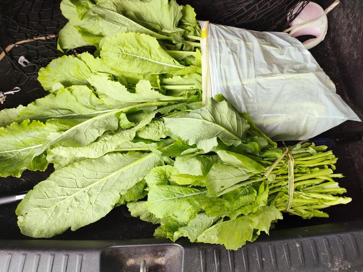 Elvira, vendedora de grelos en la N-550 a sus 86 años: "Son los mejores del mundo"