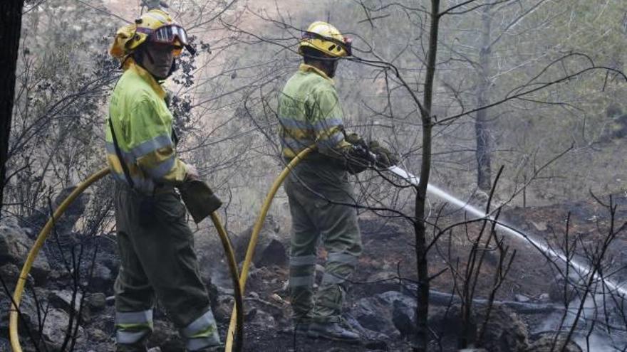 Los bomberos sofocan en una hora el fuego en una pinada de Guadassuar