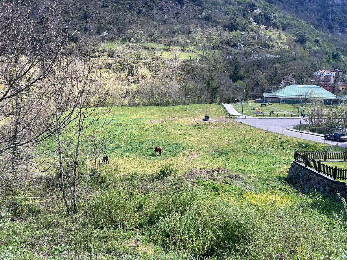 Fincas en las que se construirá el aparcamiento.