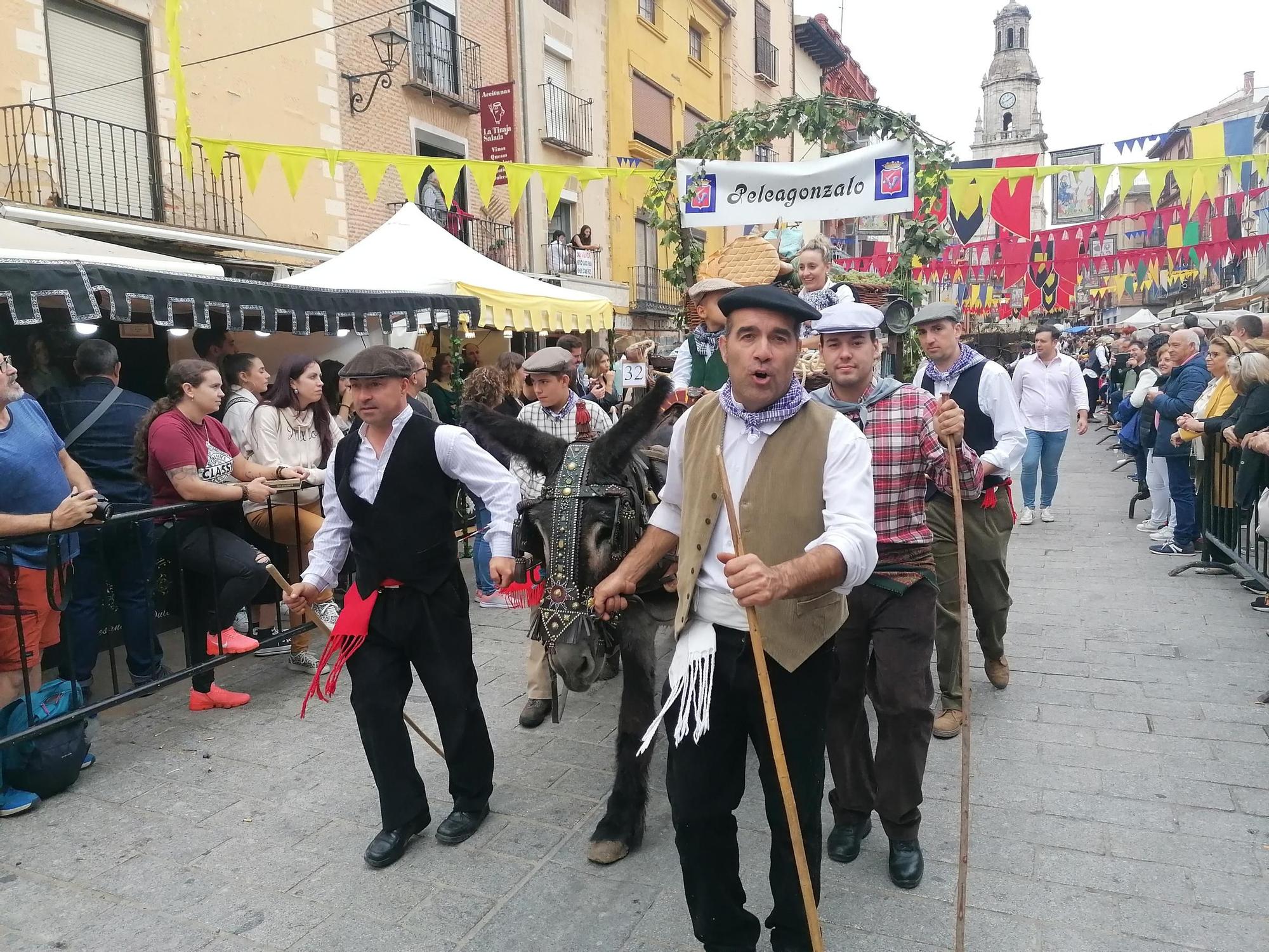 GALERÍA | Toro recrea la vendimia tradicional en el desfile de carros