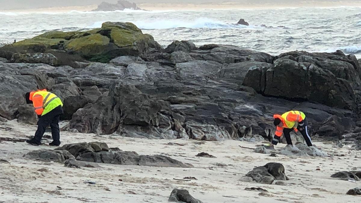 Trabajadores contratados por la aseguradora de la naviera retiran pellets en la playa de A Robeiriña, en Corrubedo