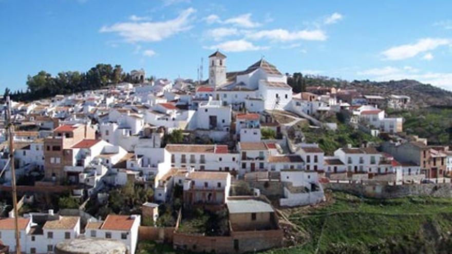 Cuatro holandeses detenidos por cultivar marihuana en una vivienda de Colmenar