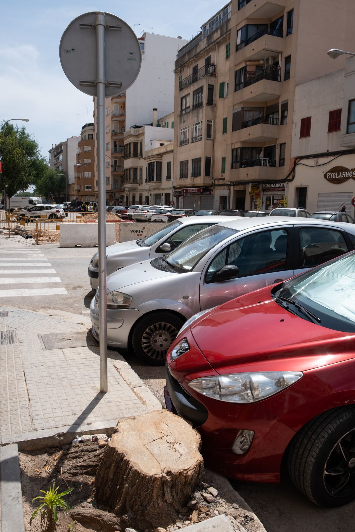 Las fotos de la tala masiva de árboles en las obras de la calle General Ricardo Ortega de Palma