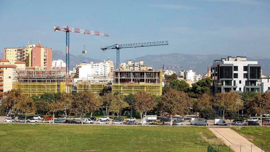 Baugenehmigungen sollen auf Mallorca schneller erteilt werden: Bei dieser Behörde brauchen Sie künftig keinen Termin mehr