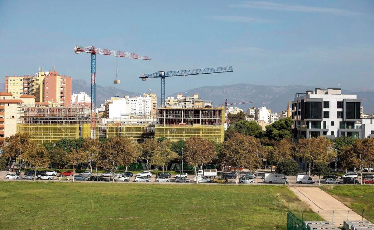 Symbolfoto aus dem Nou Llevant.