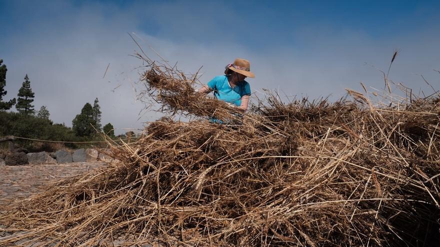 The Cabildo develops two lines of aid for companies and the primary sector