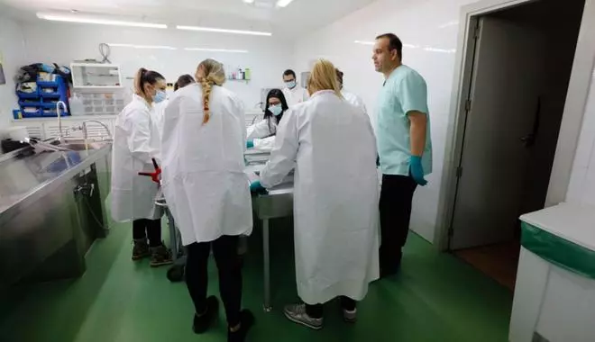 Iván Córdoba: «en la profesión funeraria, lo de menos es el maquillaje»