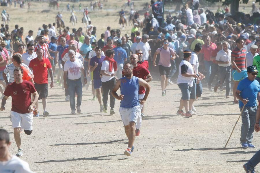 Fiestas en Zamora: Segudos espantes de Fuentesaúco