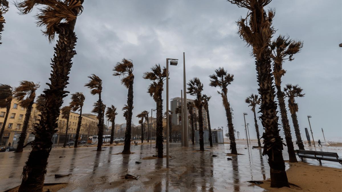Viento en Barcelona