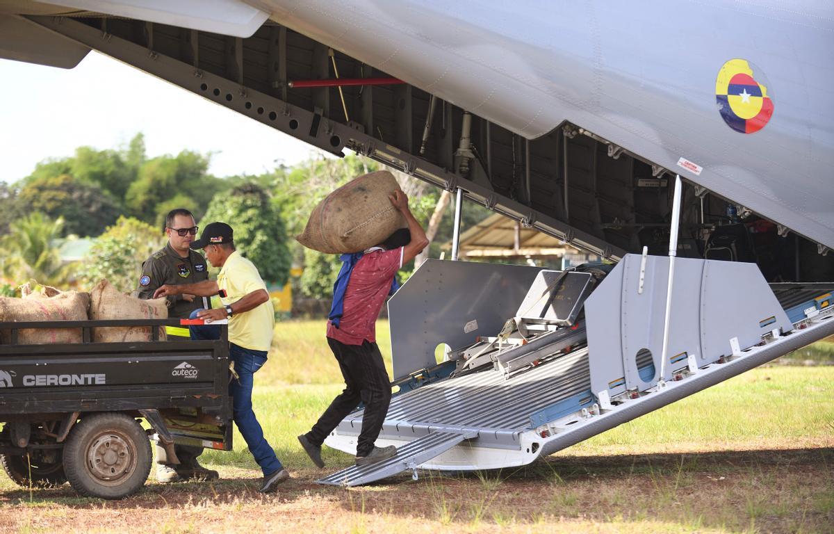 Desde hace diez años en Guerima, Colombia, los árboles de cacao reemplazan a los arbustos de coca en este departamento del tamaño de Guatemala, fronterizo con Venezuela. Está lejos de la bonanza que trajo el ingrediente principal de la cocaína, pero se ha convertido en una fuente estable de ingresos.