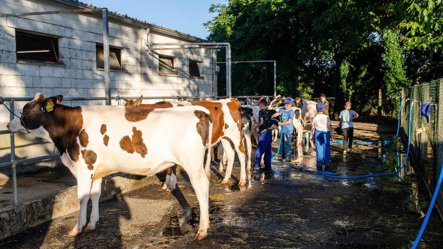 Jóvenes de la próxima generación de ganaderos se forman en Mouriscade con el apoyo de CLUN