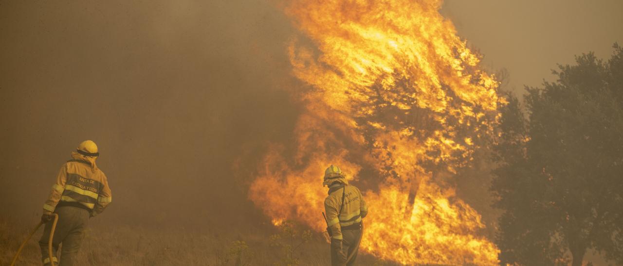 Tareas de extinción del incendio de la Sierra de la Culebra, en su extensión a Olleros de Tera