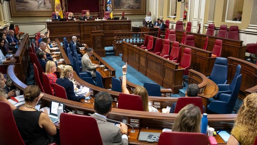 Los gomeros acompañan a PSOE y NC en el plante al dictamen del 'caso Mascarillas'