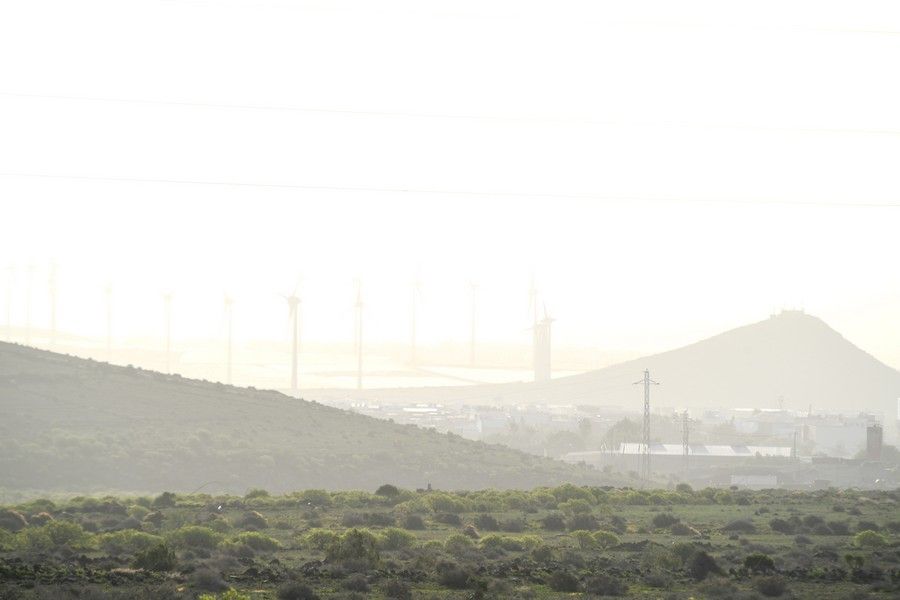 Calima en Gran Canaria (15/02/2021)