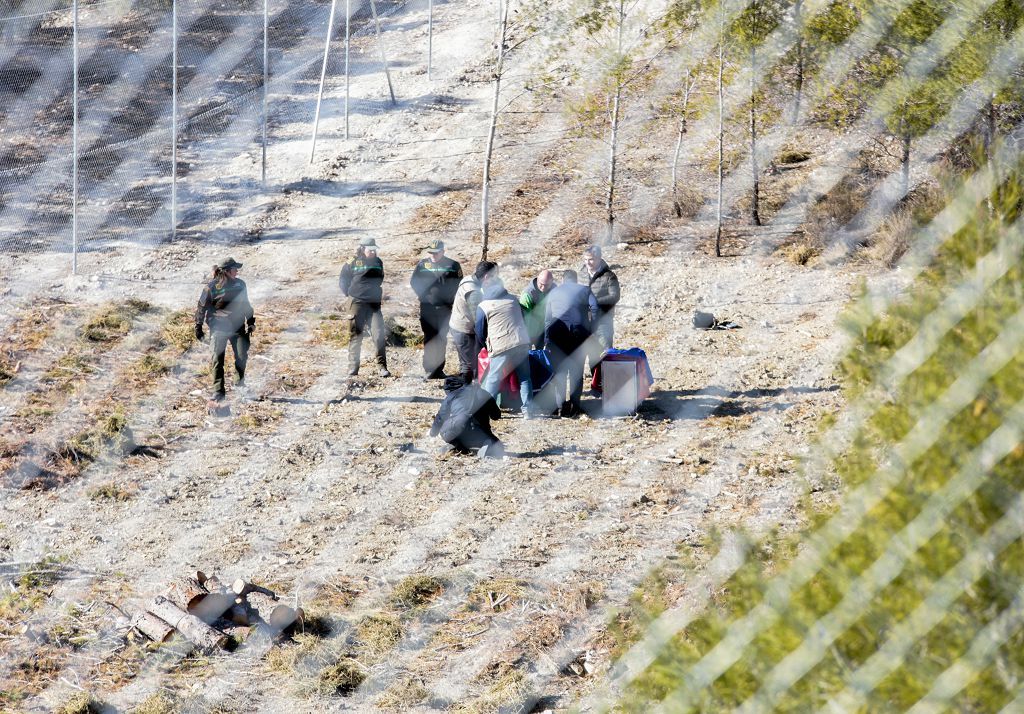 Las imágenes de la llegada de tres ejemplares de lince ibérico a las montañas de Lorca