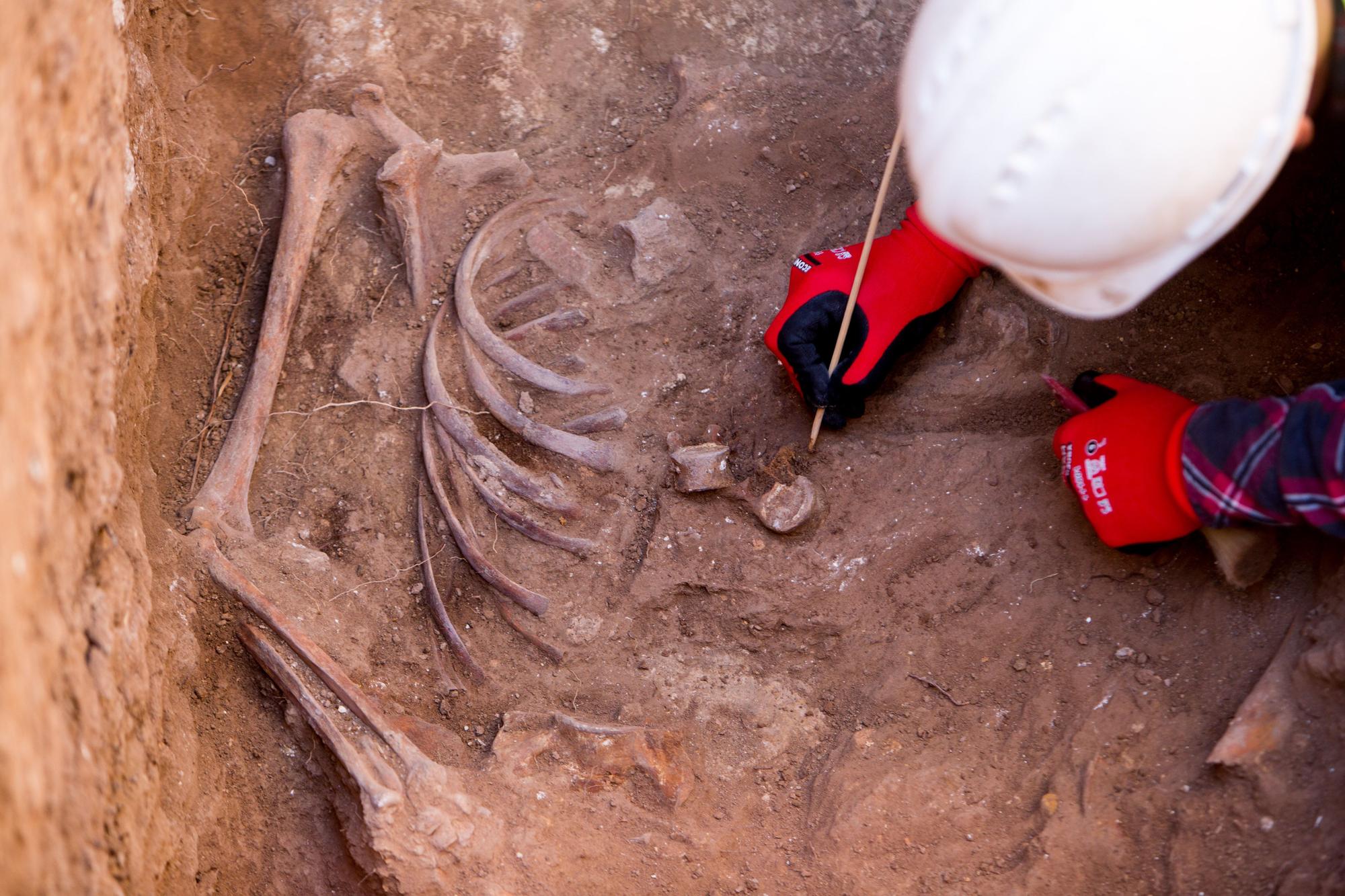 Exhumación en el cementerio de Alicante de los cuerpos represaliados durante la Guerra Civil