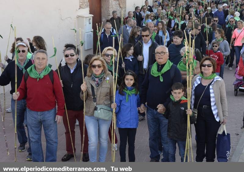 GALERÍA DE FOTOS - Romería Magdalena 2014 (4)