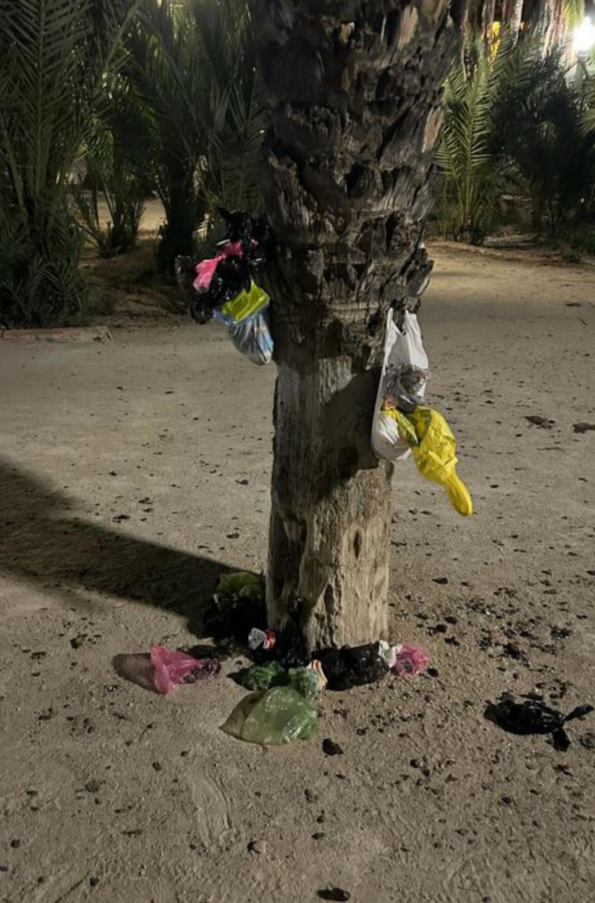 Oasis de basura en medio de un desierto de papeleras