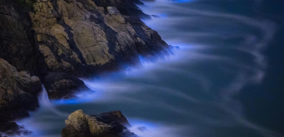 El misterioso efecto del mar luminoso, observado por un barco en el Índico
