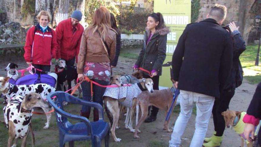 Algunos de los participantes en la reunión canguesa.