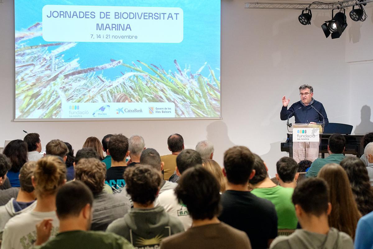 Expertos abogan por coordinar esfuerzos para la conservación de la biodiversidad marina