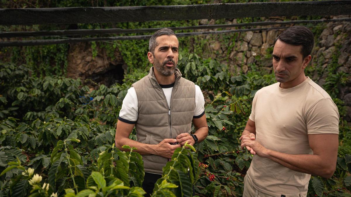 Los hermanos Abreu, productores de café en San Juan de la Rambla