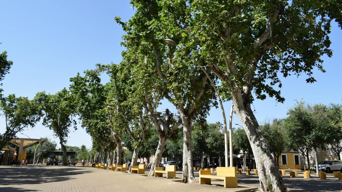 El parque más antiguo de Europa está en Sevilla