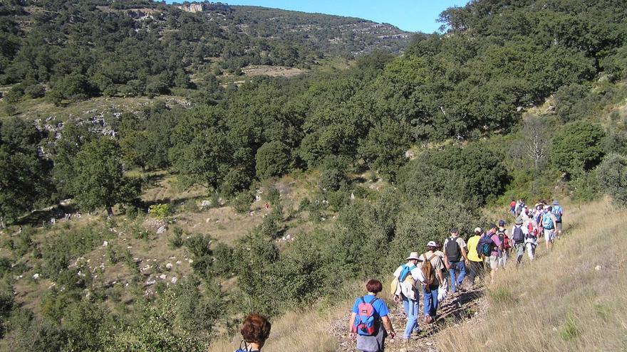 Castelló ofrece 15 actividades medioambientales hasta el 30 de noviembre