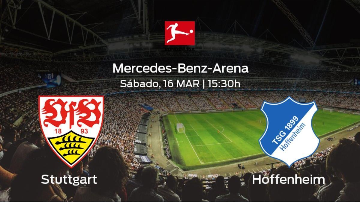 Previa del encuentro de la jornada 26: Stuttgart contra Hoffenheim