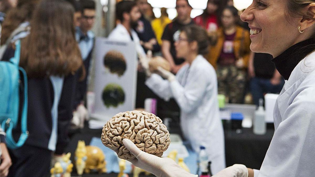 El Instituto de Neurociencias de la UMH de Elche, en una semana de búsqueda de talentos. |