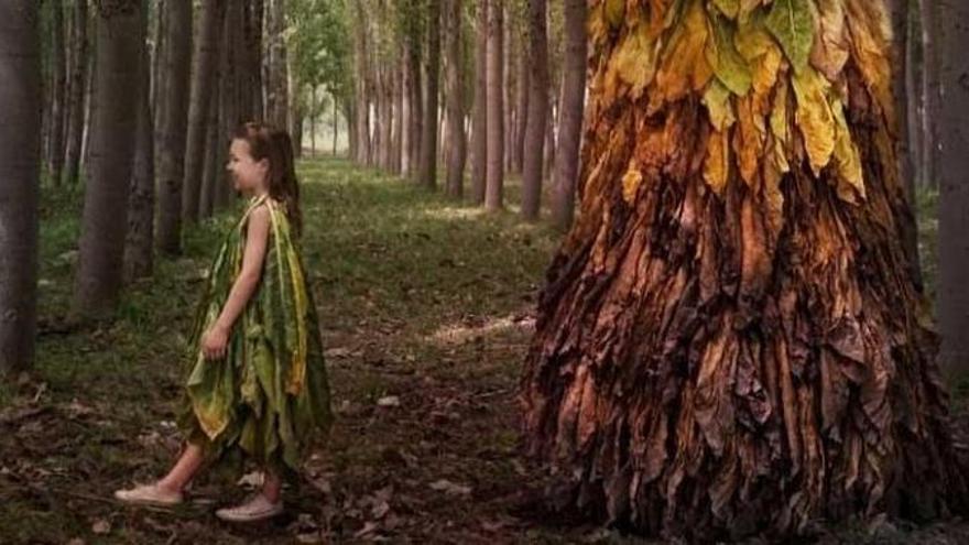 Fotograma de la película 'Secaderos', de Rocío Mesa, que se proyectará durante la jornada en Trassierra.