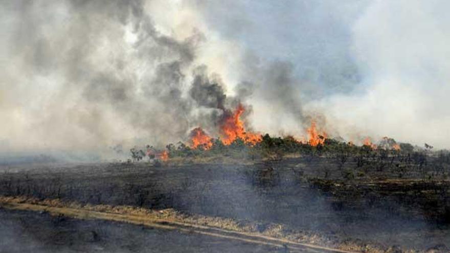 Incendio en Lebozán, ayer. // Bernabé / Javier Lalín