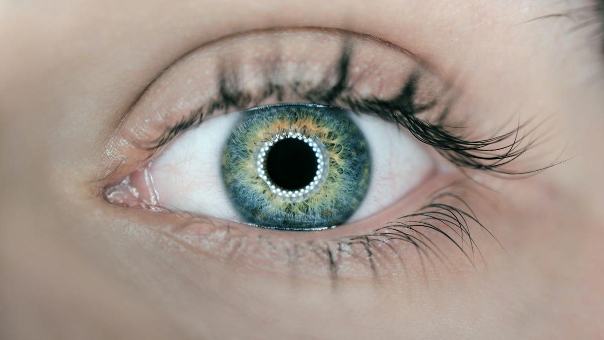 Diferentes señales de la retina podrían indicar trastornos del neurodesarrollo, como el autismo o el déficit de atención.