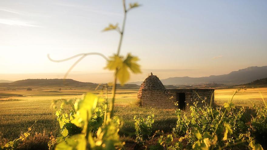 La Rioja es otra historia. Un viaje de millones de años en pocas horas