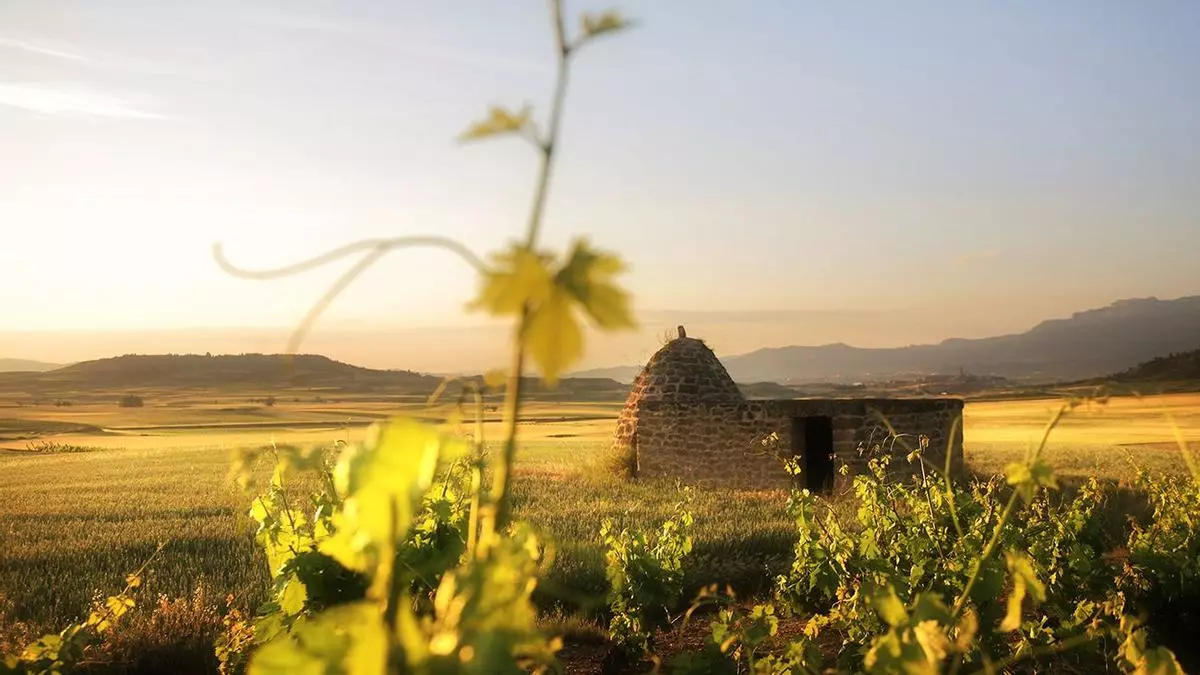 La Rioja es otra historia. Un viaje de millones de años en pocas horas