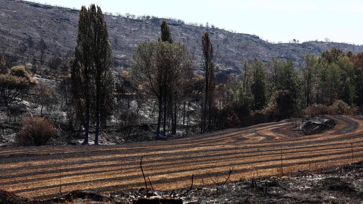 Vídeo | El incendio de las Cinco Villas afecta ya a 15.400 hectáreas