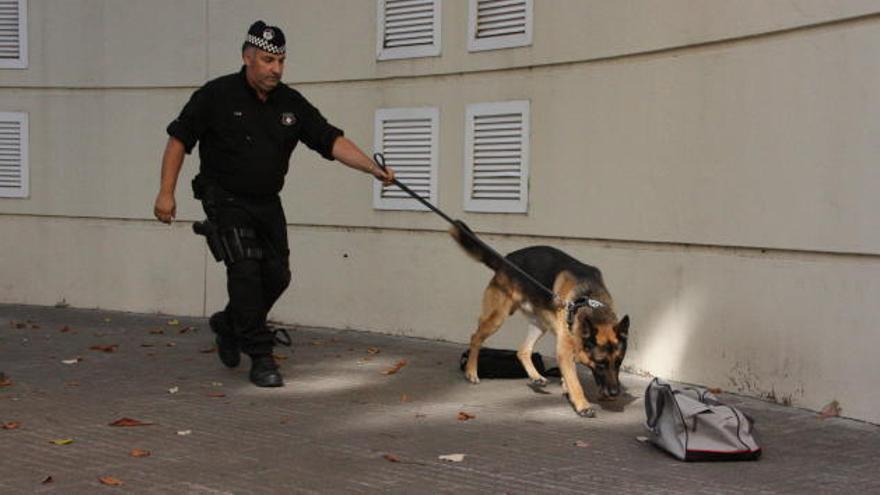 La unitat canina de la policia municipal encara no té un any.