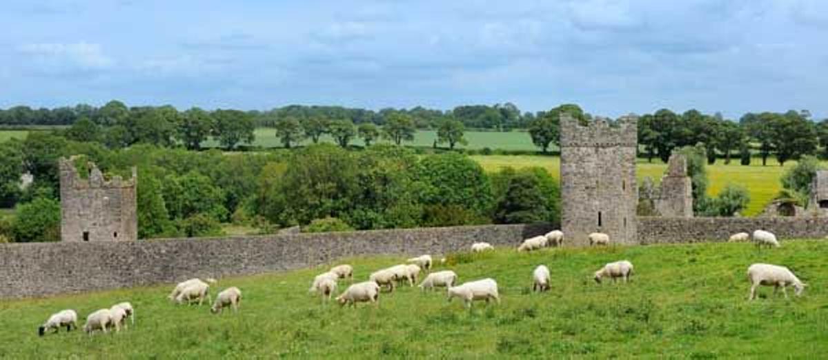 Las ruinas del Priorato de Kells, del siglo XII, están muy cerca del pueblo del mismo nombre y es uno de los monumentos más grandes e impresionantes de Irlanda.