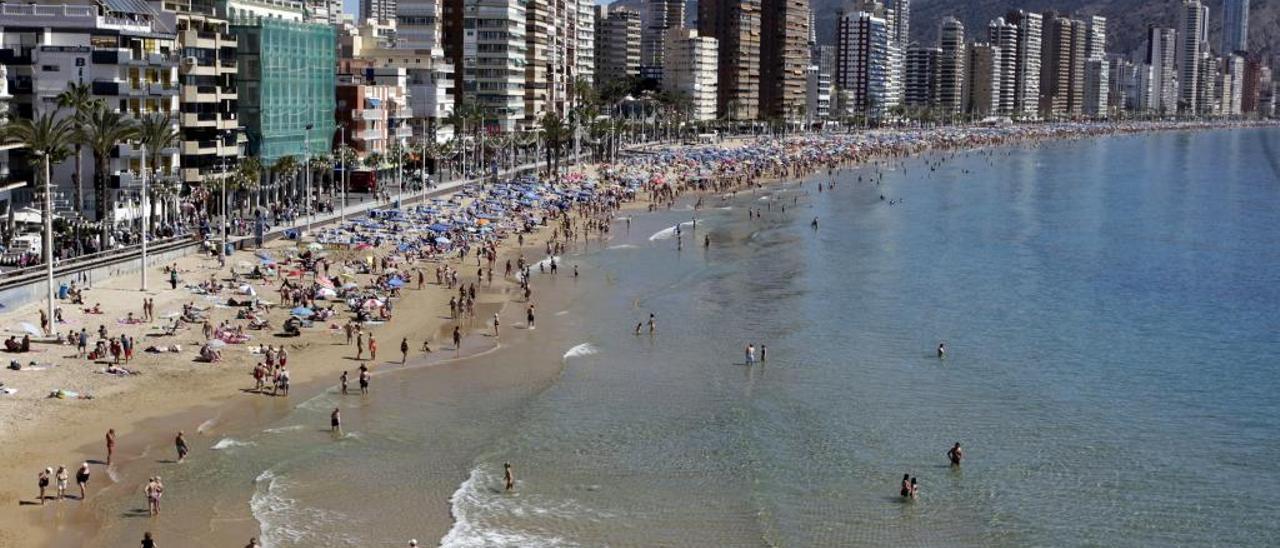 Los apartamentos en la playa de Levante de Benidorm rondan los 450 euros.