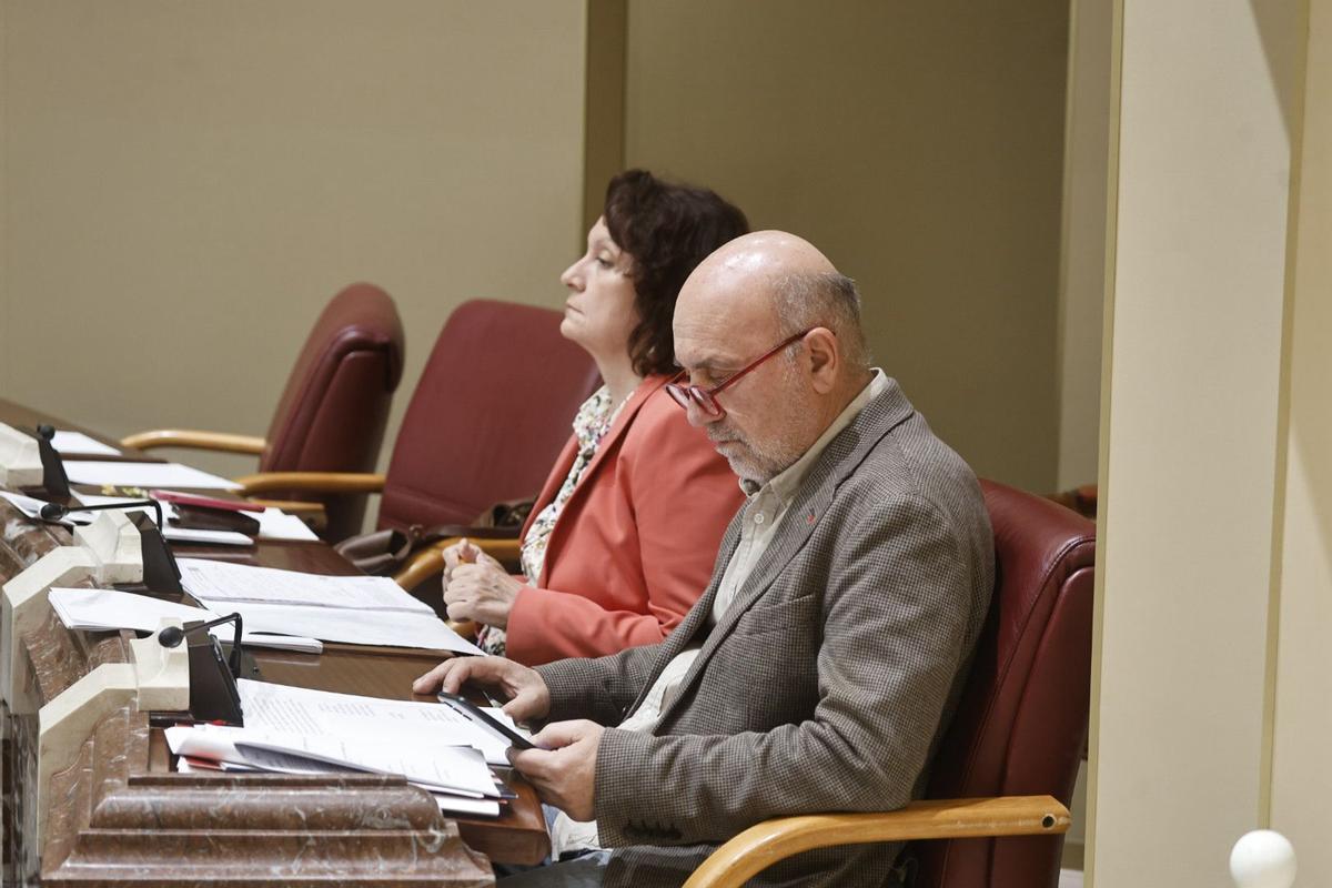 Los diputados del Grupo Mixto María Marín y José Luis Álvarez-Castellanos.