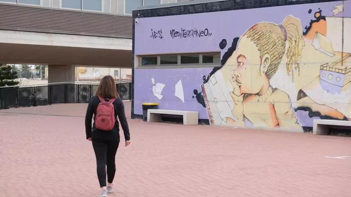 Acceso al IES Mediterráneo de Torrevieja, en una imagen de archivo / Áxel Álvarez