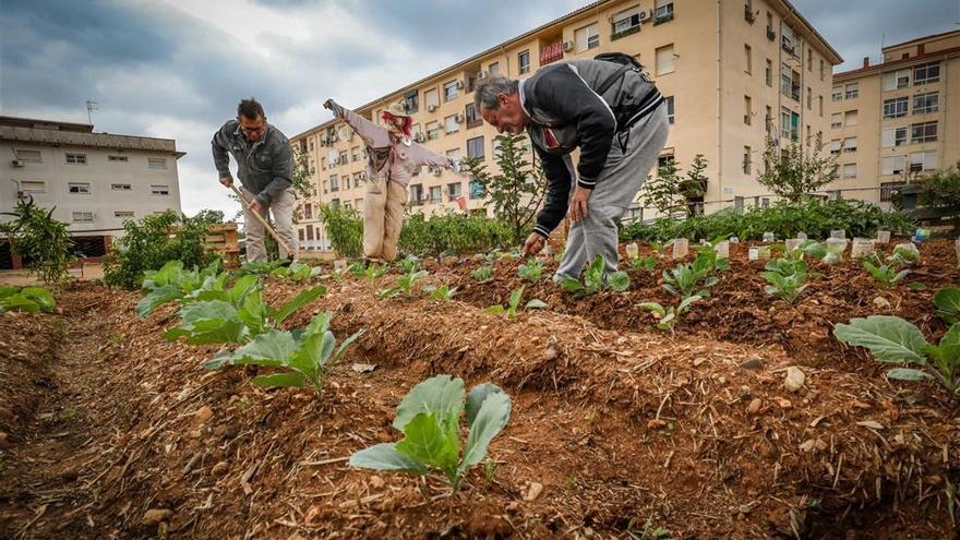 Los vecinos urgen reactivar el proyecto de huertos urbanos en Badajoz