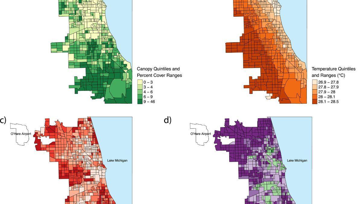 Factores ambientales y de salud a nivel de distrito censal en Chicago (2011–2021), incluyendo la cobertura porcentual de superficie terrestre de la copa de los árboles.